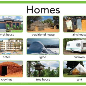 Homes