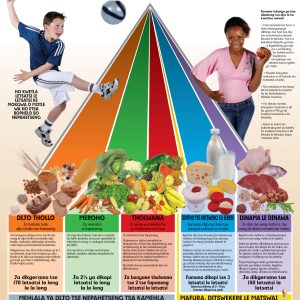 Phiramidi ya dijo e ntjha / Food pyramid