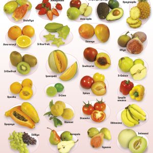 Iziqhamo (Xhosa) Fruit