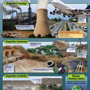 Ungcoliso / Pollution