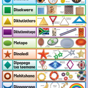 Dipogego / Shapes