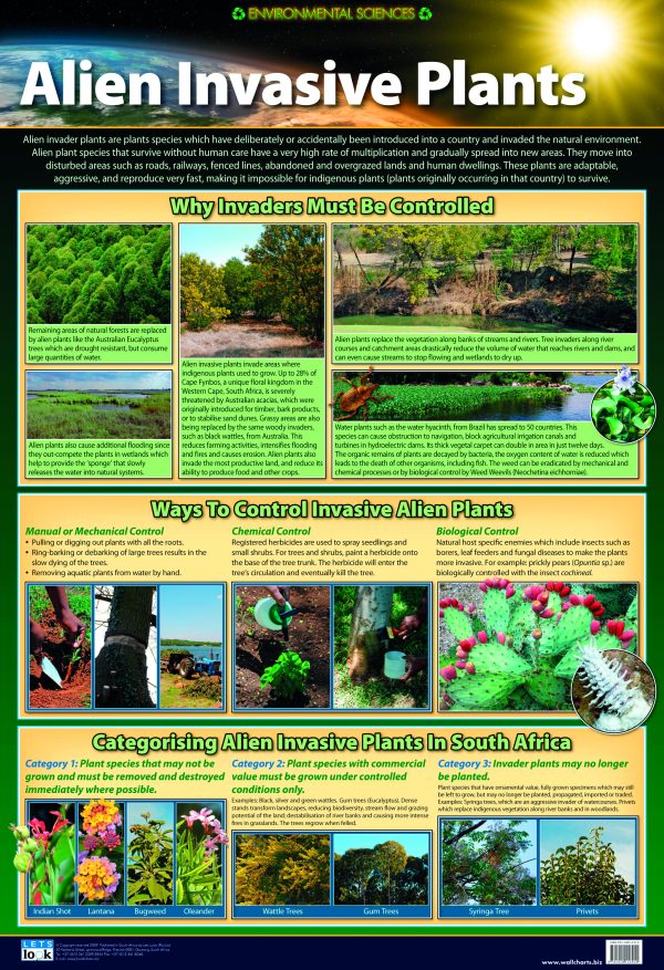 Alien Invasive Plants – Clever Child