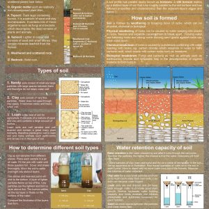 Soil